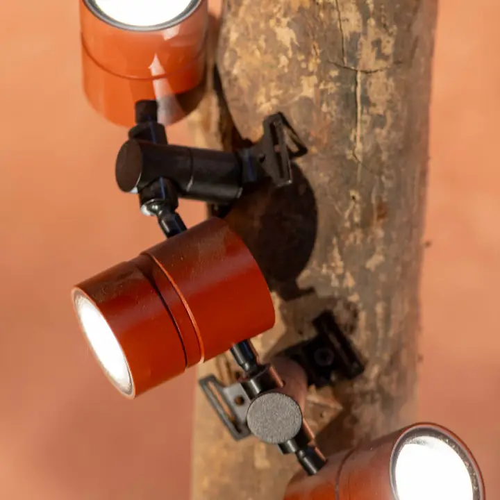 Copa spotlights clamped to a tree trunk