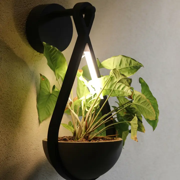 Petri wall light cradling a planted cement bowl