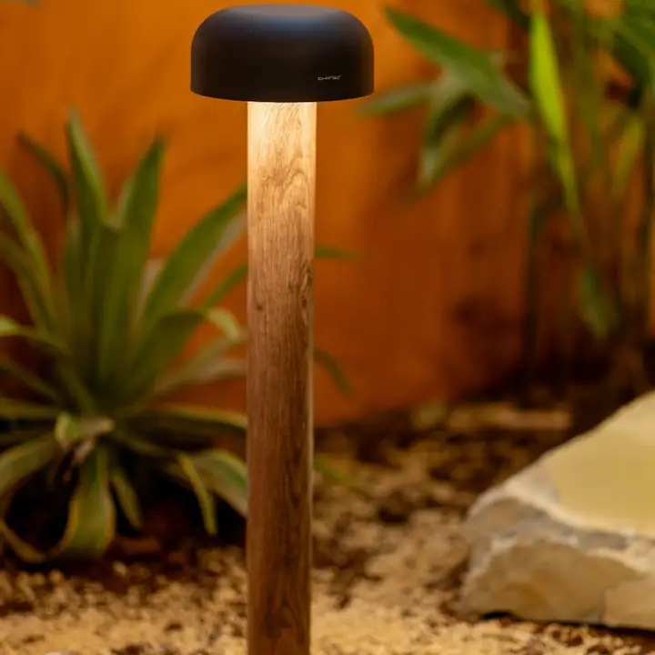Tone bollard with a wood-finish stem lighting a planting bed